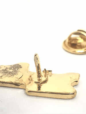 Pin Punta Arenas Chile (4120)