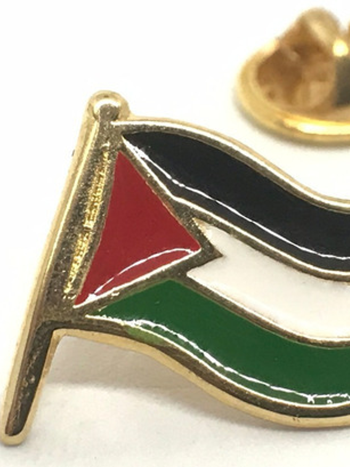 Pin Bandera Palestina 1