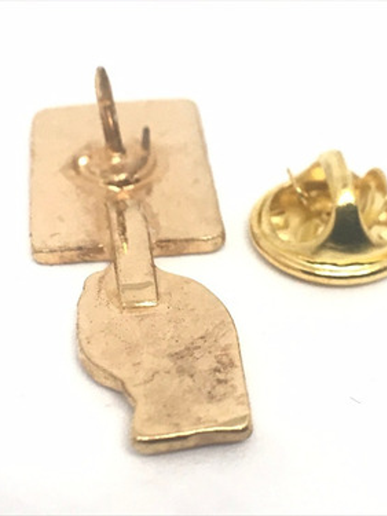 Pin Detenidos Desaparecidos Chile 2