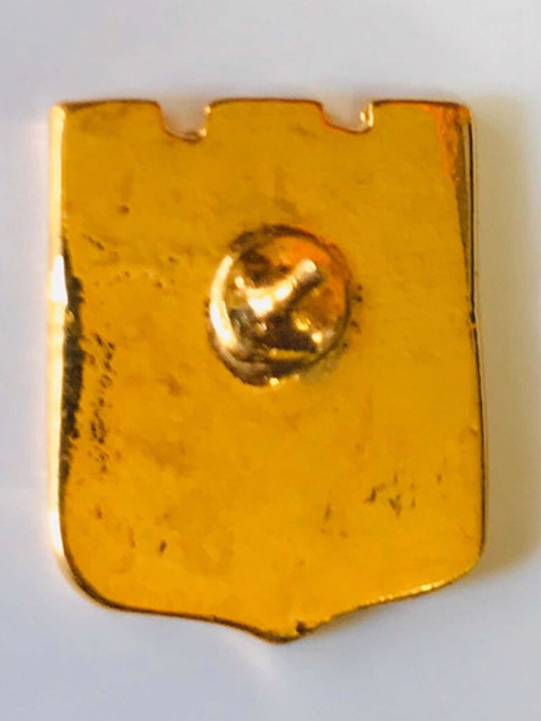 Pin Deportes Valdivia 3