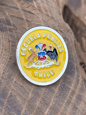 Pin Escuela Pública (escudo Escuelas Educación Pública)