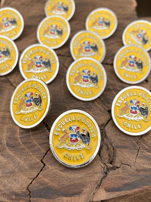 Pin Escuela Pública (escudo Escuelas Educación Pública)