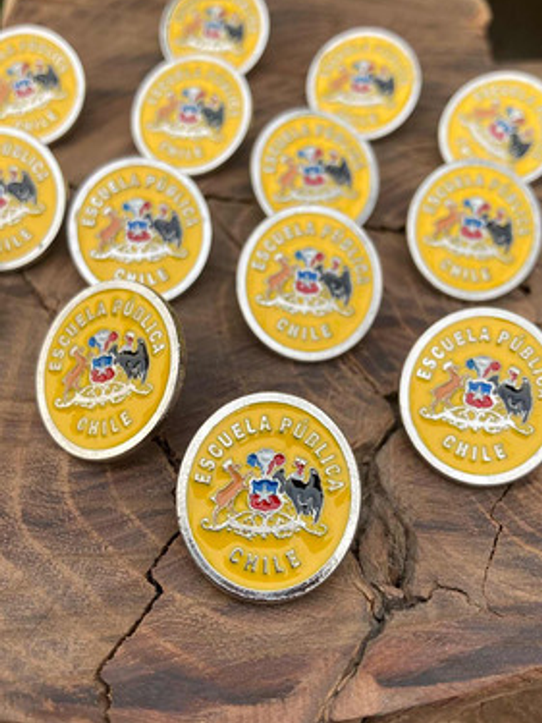 Pin Escuela Pública (escudo Escuelas Educación Pública) 2