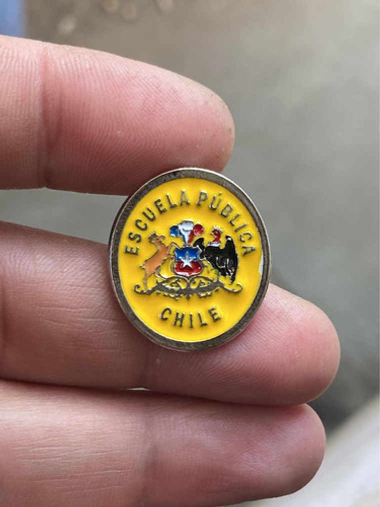 Pin Escuela Pública (escudo Escuelas Educación Pública) 4