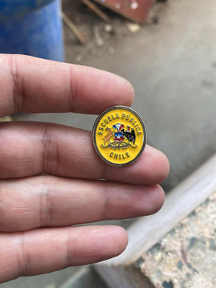 Pin Escuela Pública (escudo Escuelas Educación Pública) 9