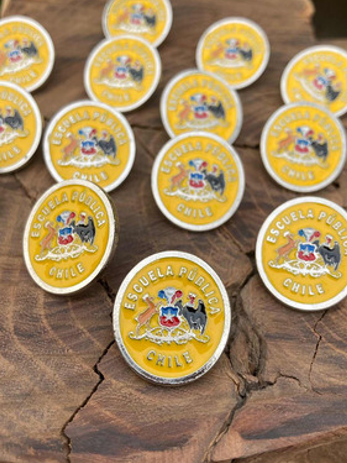 Pin Escuela Pública (escudo Escuelas Educación Pública) 11