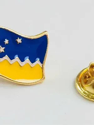 Pin Bandera Magallanica Patagonia Region De Magallanes Azul Y Amarillo Con Detalles Dorados Bandera Magallánica