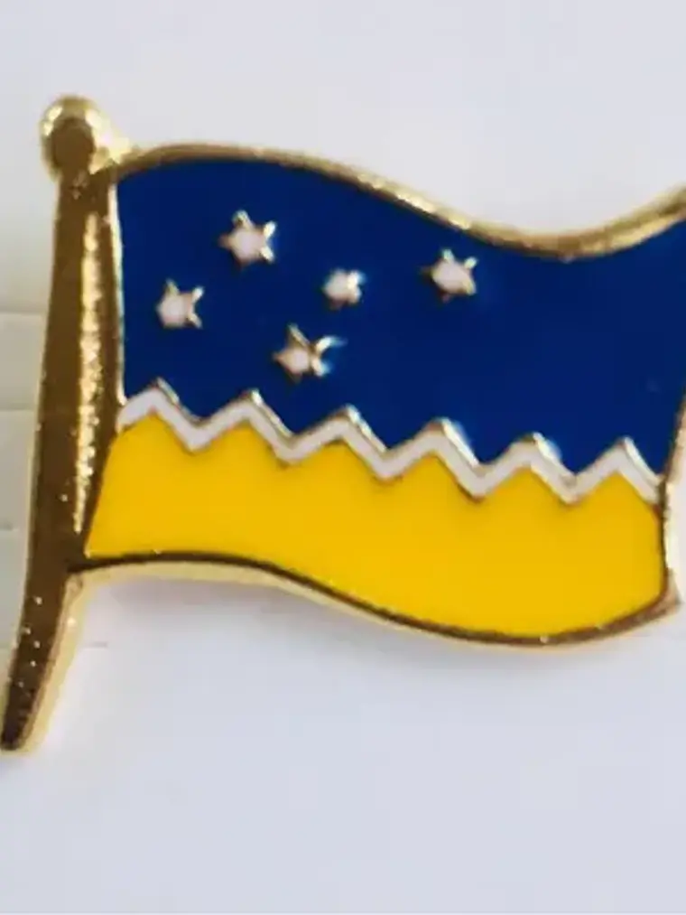 Pin Bandera Magallanica Patagonia Region De Magallanes Azul Y Amarillo Con Detalles Dorados Bandera Magallánica 4