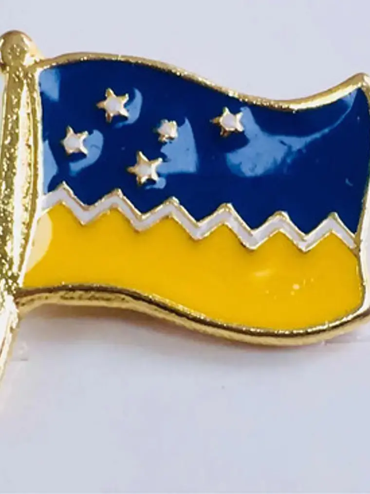 Pin Bandera Magallanica Patagonia Region De Magallanes Azul Y Amarillo Con Detalles Dorados Bandera Magallánica 5