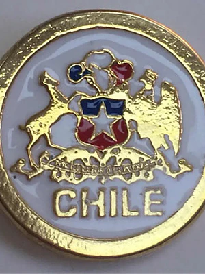 Pin Escudo De Chile Bañado En Oro Pintado A Mano 2 Centimetr Dorado Con Fondo Negro Y Detalles Rojo, Blanco Y Azul Escudo De Chile