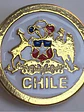 Pin Escudo De Chile Bañado En Oro Pintado A Mano 2 Centimetr Dorado Con Fondo Negro Y Detalles Rojo, Blanco Y Azul Escudo De Chile - Miniatura 2
