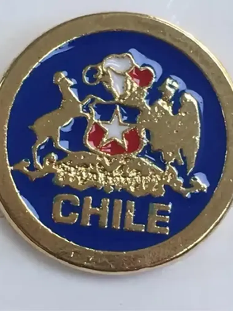 Pin Escudo De Chile Bañado En Oro Pintado A Mano 2 Centimetr Dorado Con Fondo Negro Y Detalles Rojo, Blanco Y Azul Escudo De Chile 3