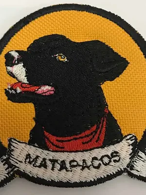 Parche Perro Matapaco 100% Bordado