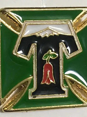 Pin Deportes Temuco Verde / Negro / Dorado / Rojo / Blanco Escudo / Letra T