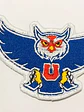 Parche Chuncho Búho Universidad De Chile - Miniatura 4