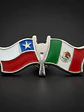 Pin Banderas Entrelazadas Chile Y Mexico Pin 2 Banderas - Miniatura 6