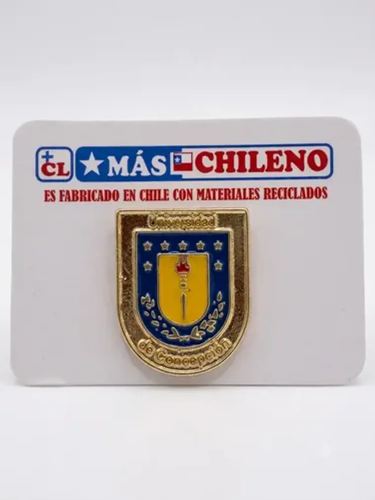 Pin Universidad De Concepción 2