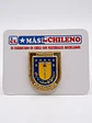 Pin Universidad De Concepción - Miniatura 2