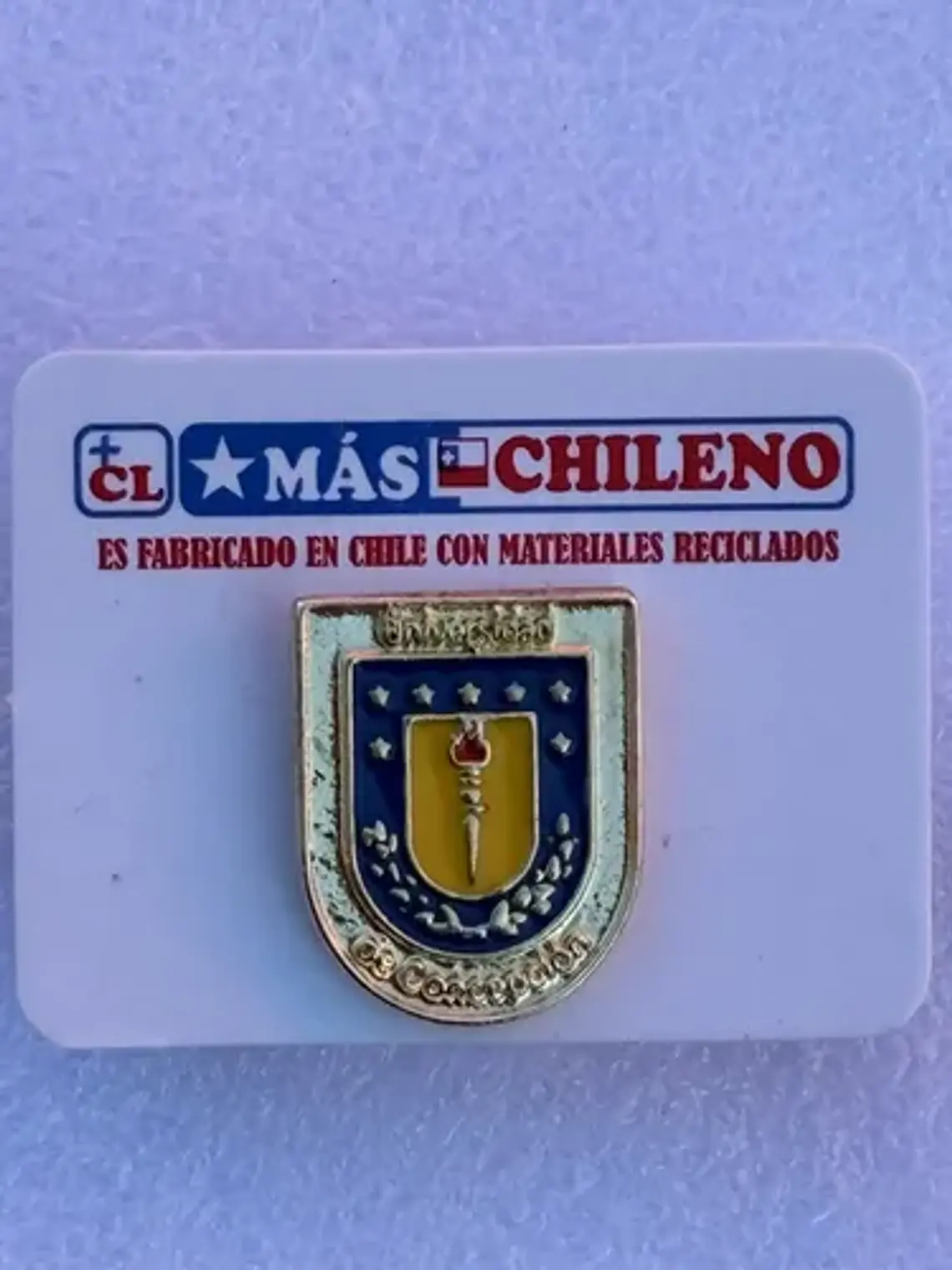 Pin Universidad De Concepción 3