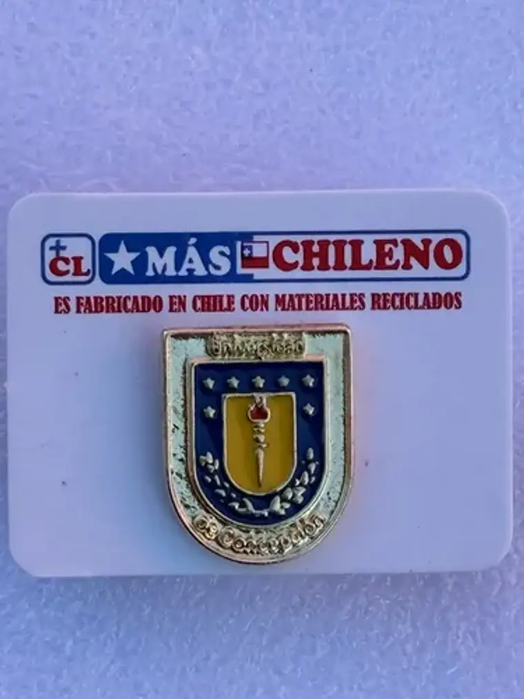 Pin Universidad De Concepción 3