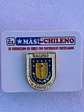 Pin Universidad De Concepción - Miniatura 3