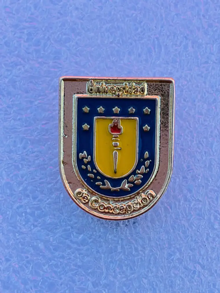 Pin Universidad De Concepción 4