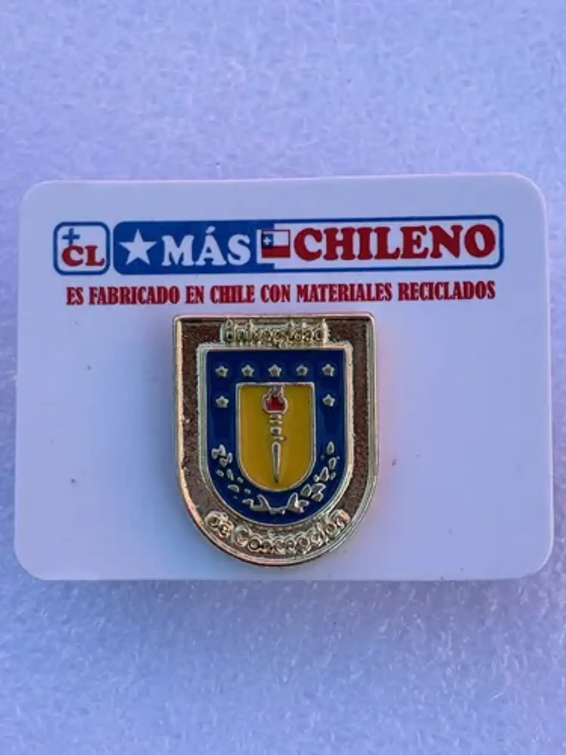 Pin Universidad De Concepción 5