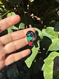 Pin calcetin con rombos man - Miniatura 4