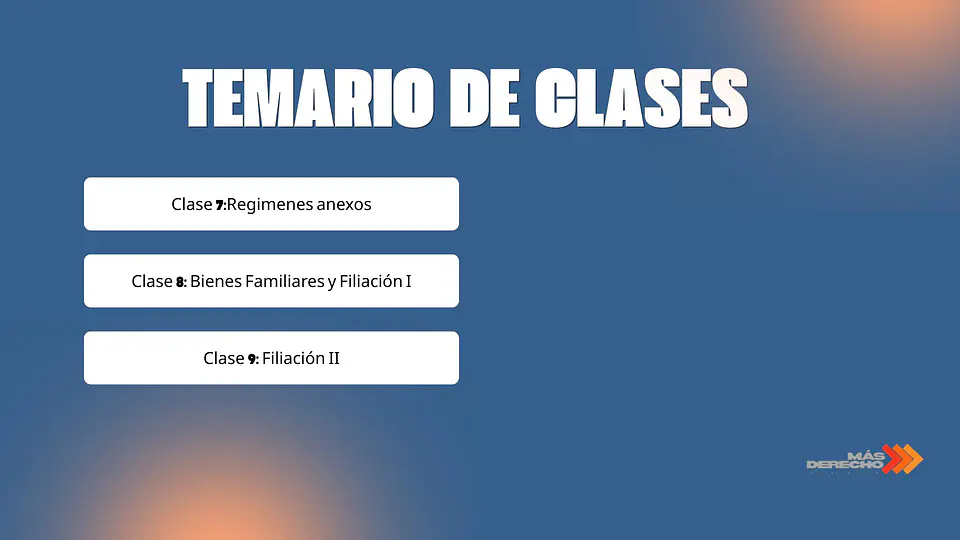 Curso Derecho de Familia 2