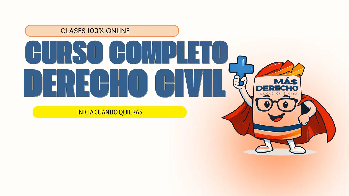 Domina el Derecho Civil de principio a fin 1