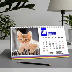 Calendario de escritorio Base dura (Cartón piedra)