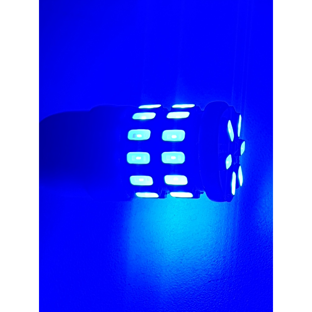 Luz Azul T10 30 Led Ceramica 12v Moto Y Autos Cola De Pez