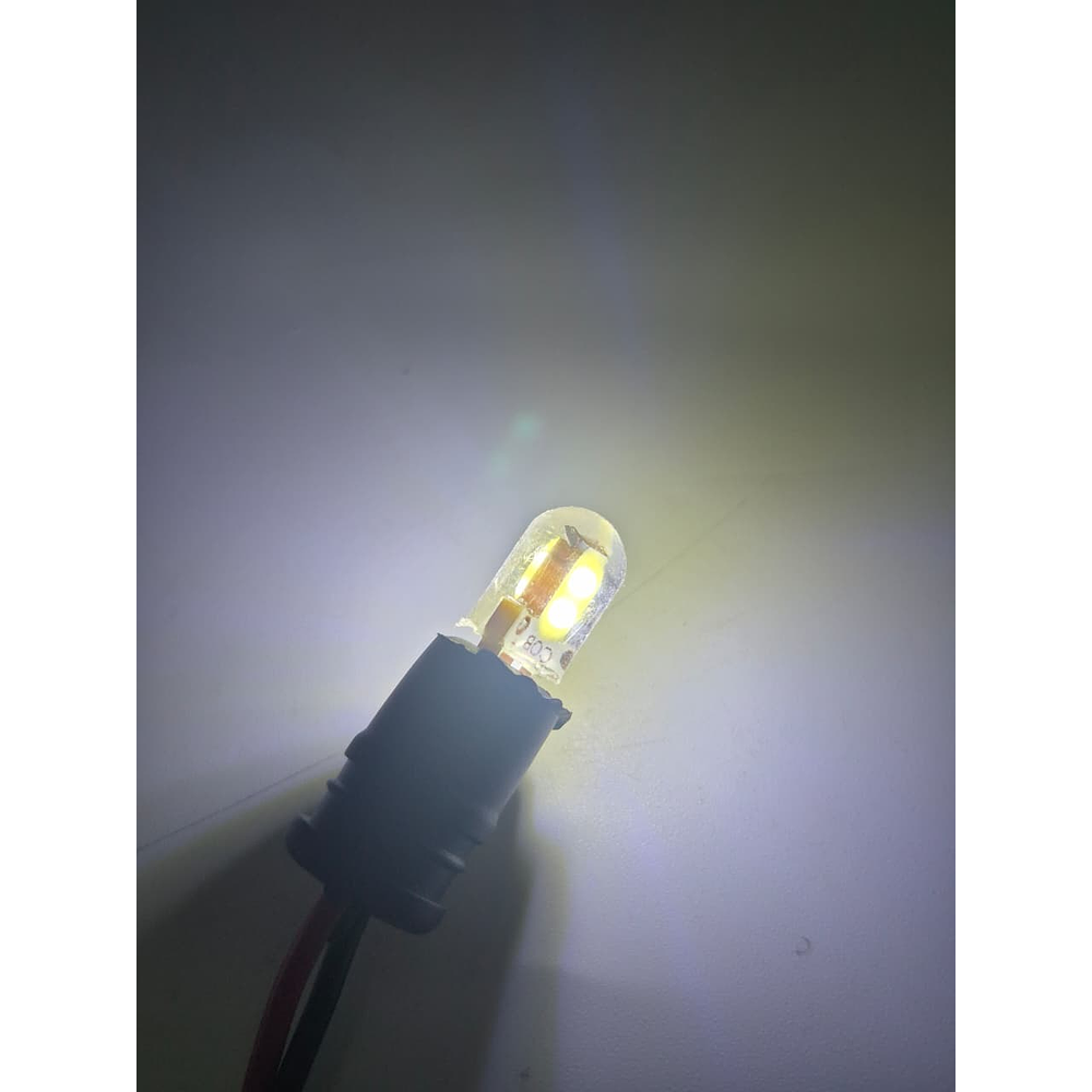 Par Ampolletas 2 Led T10  Blanco Cola De Pescado 