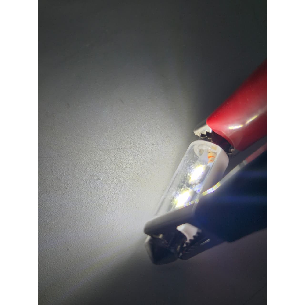 Par Ampolleta Led Tipo Fusible 41mm