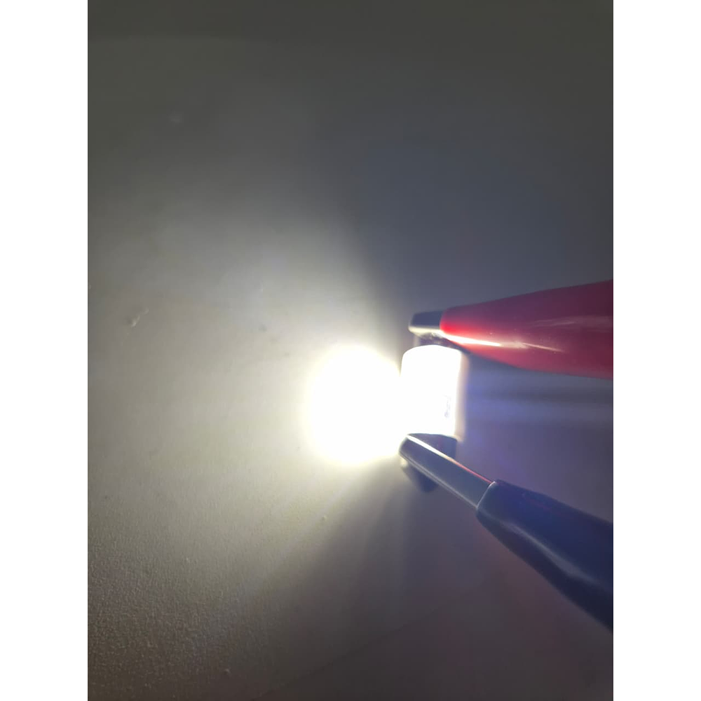 Par Ampolleta Led Tipo Fusible 30mm