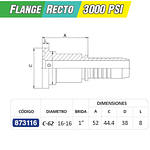 Flange Recto 1 pulgada 3000 PSI Brida