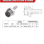 Conector Hidráulico Macho ORFS 1.3/12" pulgadas Hilo 12