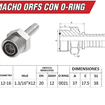 Conector Hidráulico Macho ORFS 1.3/16" pulgadas Hilo 12
