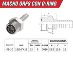 Conector Hidraulico Macho ORFS 13/16 pulgadas Hilo 16 19mm