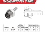 Conector Hidráulico Macho ORFS 1" pulgadas Hilo 14 19MM
