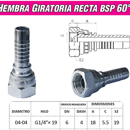Conector Hidráulico 1/4" x 19 Hembra Giratoria Recta  BSP 60 grados