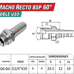 Conector Hidráulico 1/4" x 19 Macho Recto BSP 60 grados
