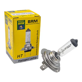 Ampolleta H7 24V 100 W