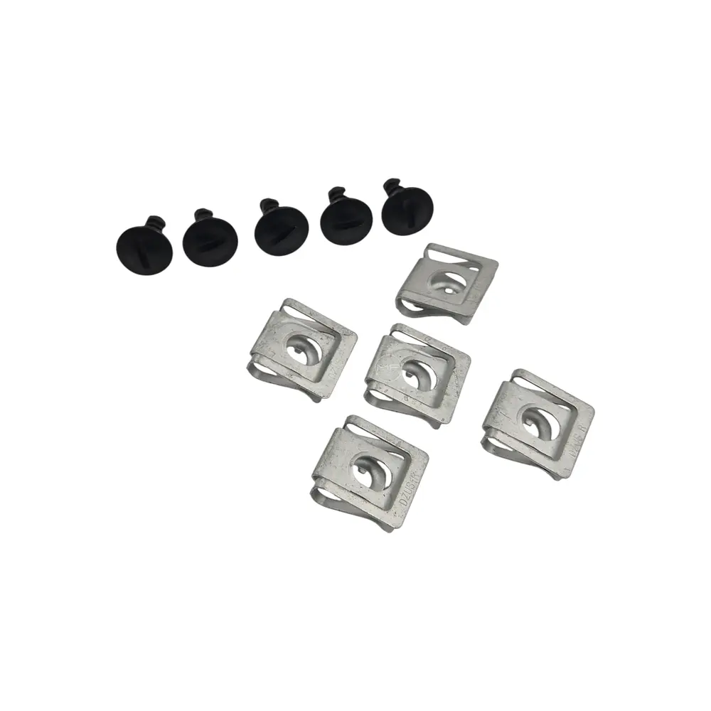 Set de Broches 10 piezas