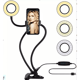  ARO DE LUZ  PARA ESCRITORIO (21685)