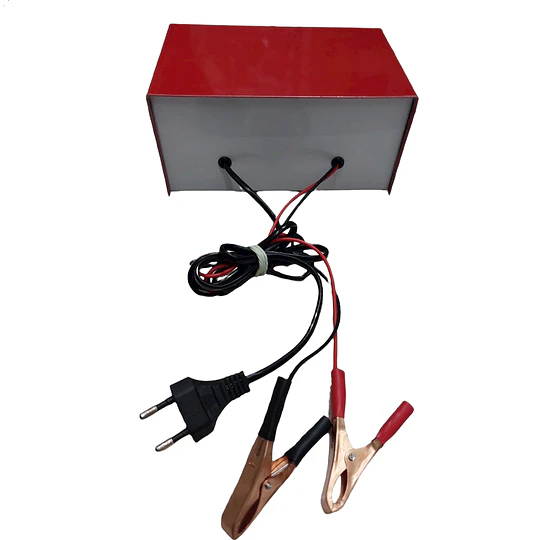 Cargador De Batería Auto Moto  6v 12v