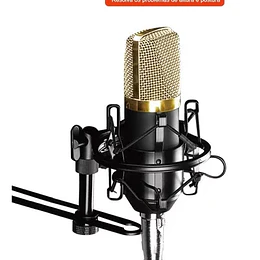 Micrófono Condensador Unidireccional Cod T595