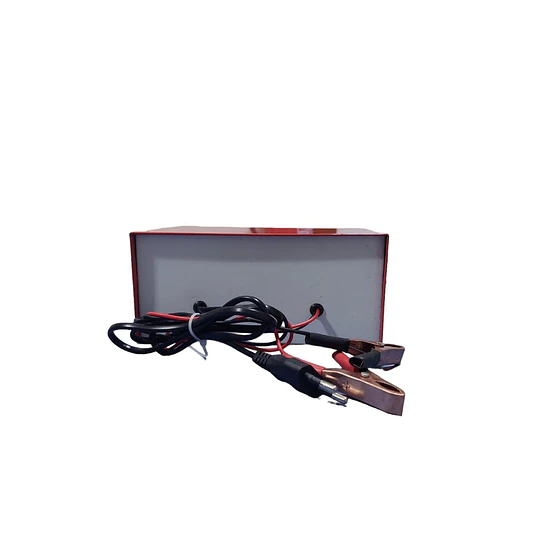 Cargador De Batería Auto Moto Camión 6v 12v 10 Amp