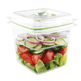 Fresh container 008X FoodSaver