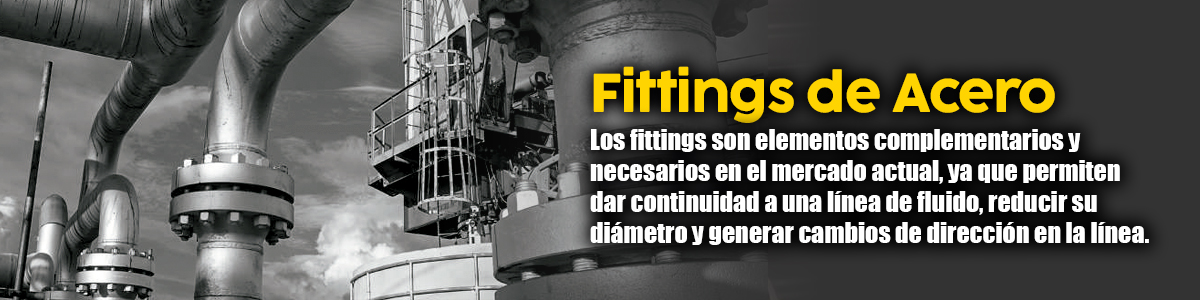 Fittings de Acero
